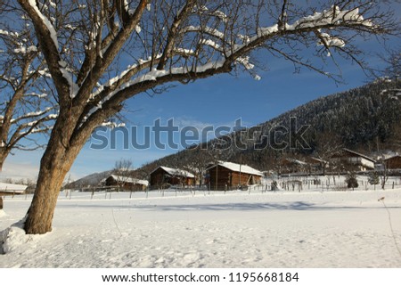 snowy landscape photos and wooden village houses.artvin /savsat