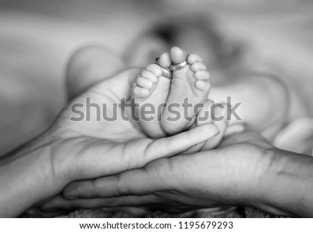 Closeup of parents hands holding newborn baby feet with wedding rings. The concept of the family. Black and white. Royalty-Free Stock Photo #1195679293