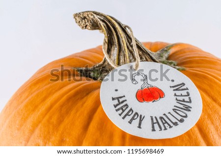 Orange pumpkin with round label on white background. Halloween decor.