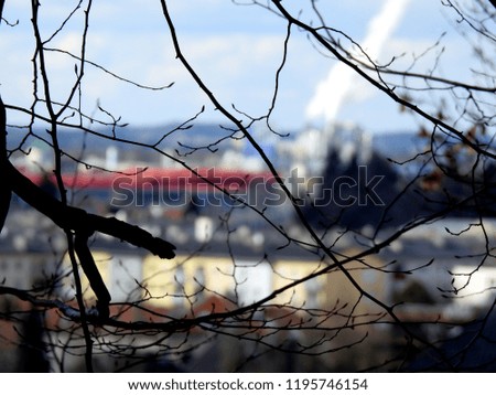 Tree branches on blurred building background