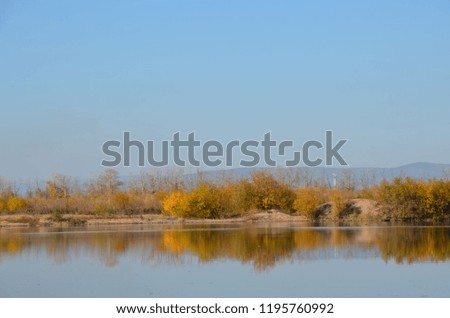 This picture shows a riverside with clear sky and bushes