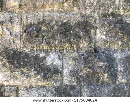 An old castle wall in luxembourg tainted with damp and small patches of mold.