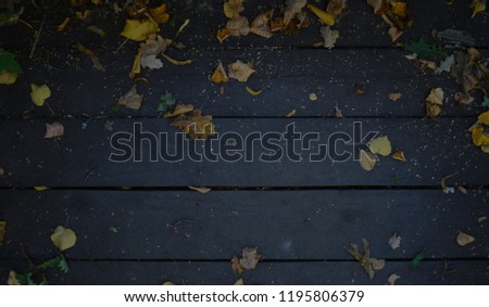 Fallen yellow leaves of trees (birch, oak) at the end of summer on the backround of contrastive dark blach planks of wood of the forest staircase 1