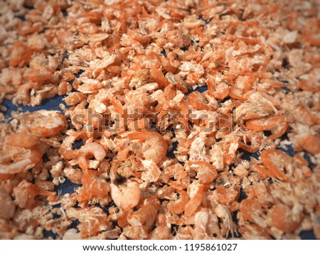 Dried shrimps cooked for cooking