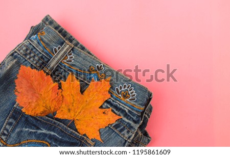 Autumn background. jeans pocket, autumn leaves, on a pink background,
