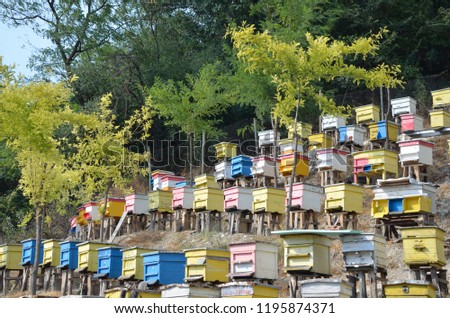 Colorful bee houses in the mountain in Bulgaria.