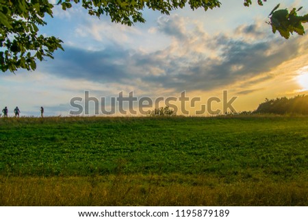 Peaceful sunset on a grassy field