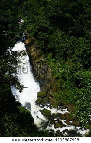 waterfall long exposure through woods in jungle