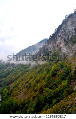 Montenegro, Durmitor National Park, Summer, 2018