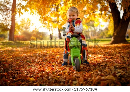 Smiling little boy having fun on bikes in autumn park