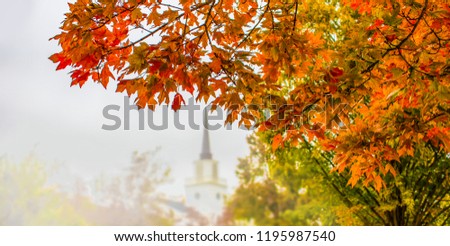 Autumn background with brightly colored foliage in foreground on side and blurre trees and church with steeple in background - half page web banner