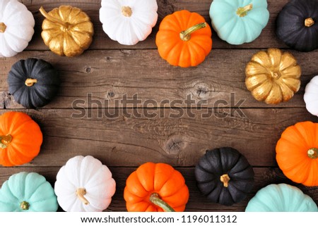Autumn frame of various colorful pumpkins on a rustic wood background. Top view with copy space.