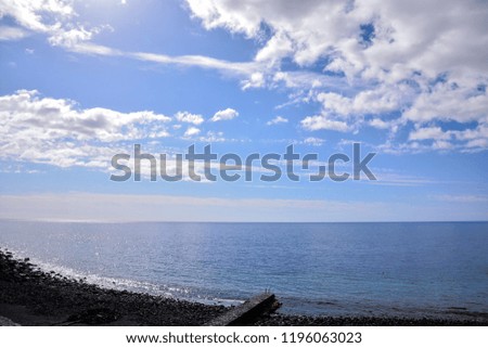 Ocean Coast's View
