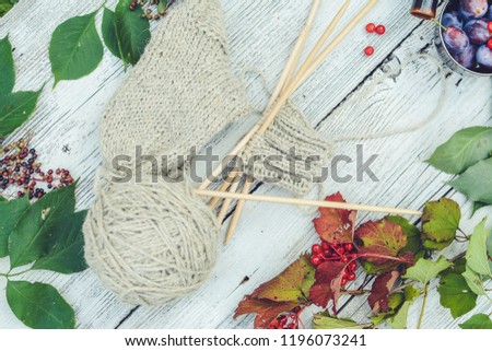Warm woolen socks in progress / autumn leaves ans berries
