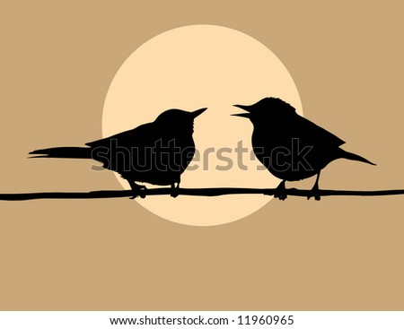 two birds on branch against sun