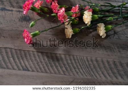 Carnations on wooden background 