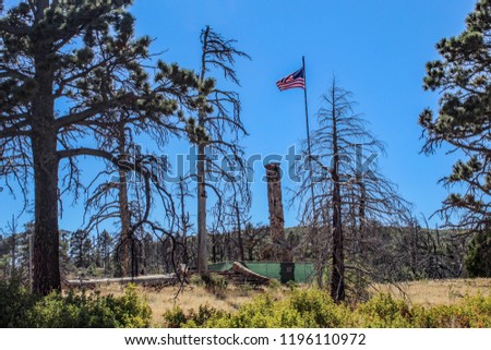 Remains from cedar fire in California