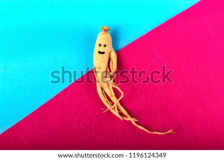 cartoon muzzle painted on ginseng on a pink-blue background