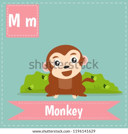 alphabet M letter flashcard
Monkey for kids learning English vocabulary.
Cute children ABC animal zoo.
Instruction media Vector illustration.