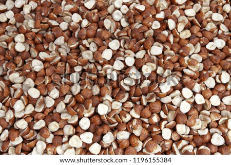 Hazelnuts. Peeled hazelnuts background texture. Organic nuts pattern. Design pattern of nut. Hazelnuts stock photos. Close up of hazelnut. Food wallpaper