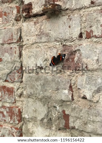 old concrete brick wall