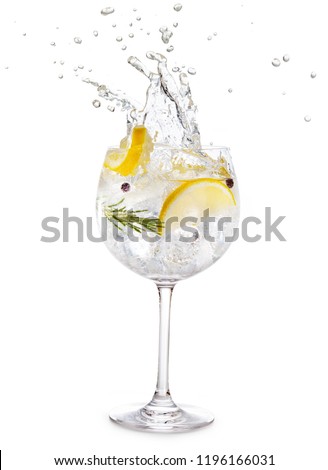 gin tonic splashing isolated on white background Royalty-Free Stock Photo #1196166031