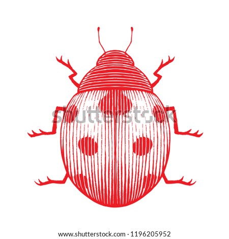 Illustration of Red Vectorized Ink Sketch of Ladybug isolated on a White Background