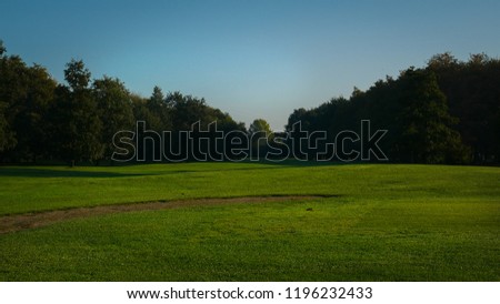 Golfcourse in the morning