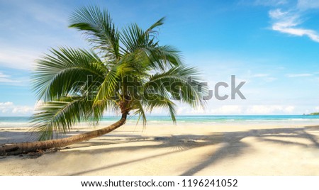 Beautiful tropical beach and sea with coconut palm tree under blue sky