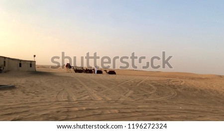 Dubai desert safari was the ultimate travel experience for me. It was complete with 4x4 dune bashing, camel rides and barbeque dinner accompanied by a belly dancing.