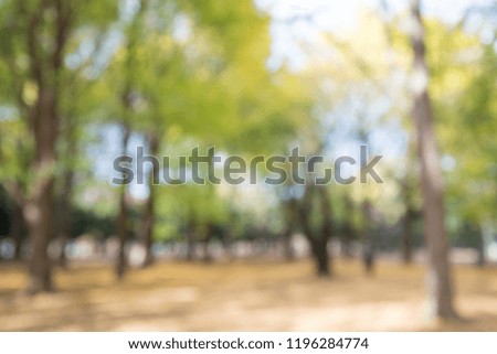 Abstract blur green garden in city park bokeh background - green nature concept