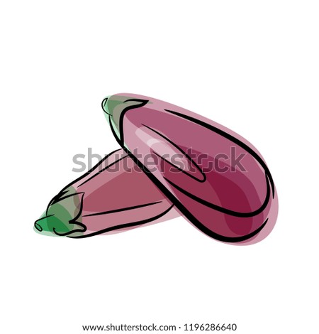 two eggplant vector