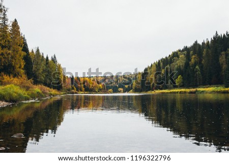 autumn forest, river