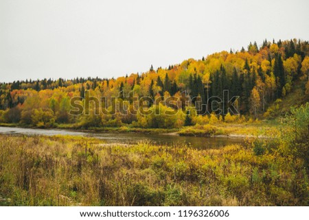 Usva Perm region
autumn forest