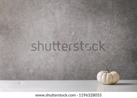 White whole uncooked decorative pumpkin on white marble table with grey wall at background. Autumn minimalist decoration.