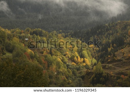 colorful trees and autumn landscape photos.artvin/savsat