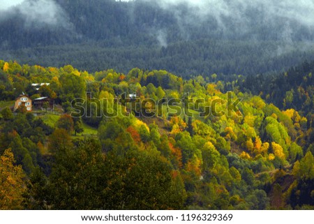 colorful trees and autumn landscape photos.artvin/savsat