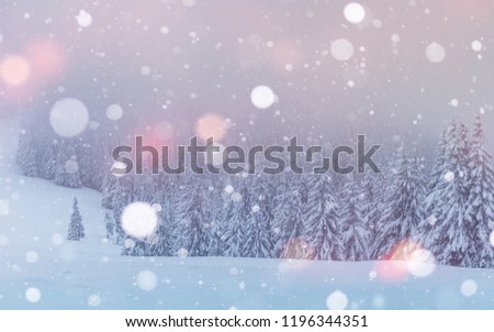 Mysterious landscape majestic mountains in winter. Magical snow covered tree. Photo greeting card. Bokeh light effect, soft filter. Carpathian Ukraine Europe.