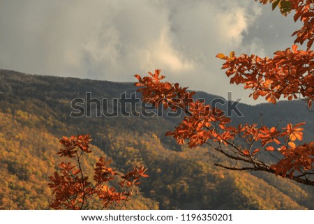 Autumn landscape, mountain view