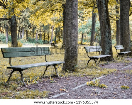 Image of bench in park in autumn