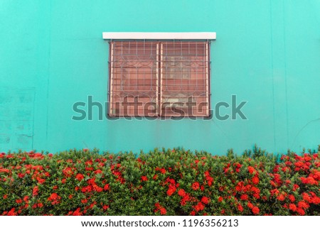 Window and red flower on blue green color background. Vintage tone.