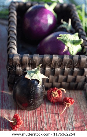 eggplants, dried red peppers, and garlic chives in square woven basket Royalty-Free Stock Photo #1196362264