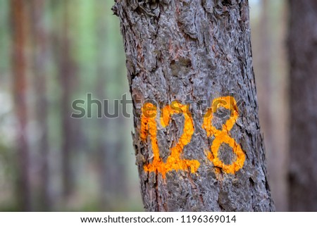 Number 128, one hundred twenty-eight, painted in a forest on young pine tree with orange paint, bottom right-hand corner of the picture. Close-up photo of the digits with blurred background
