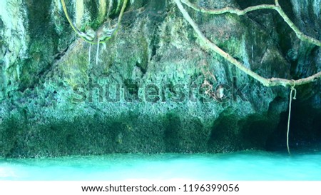 Monkey bay,Thailand. green forest with ocean  background. Tropical jungles in Asia.