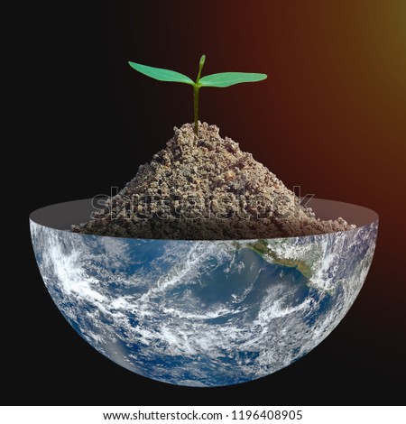 Small tree on the half of planet  on a black background.Eco concept.,Elements of this image furnished by NASA.