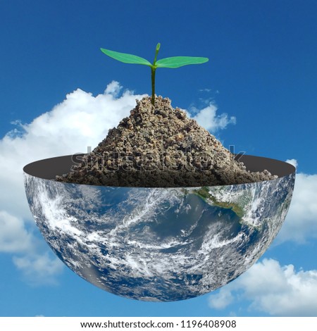 Small tree on the half of planet  on a sky background.Eco concept.,Elements of this image furnished by NASA.
