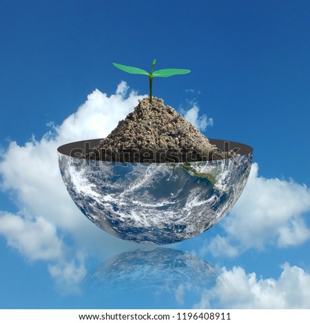 A small tree on the half of planet  on a sky background.Eco concept.,Elements of this image furnished by NASA.