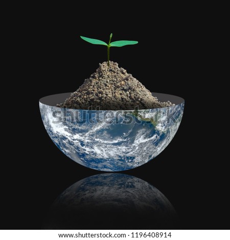 A small tree on the half of planet  on a black background.Eco concept.,Elements of this image furnished by NASA.