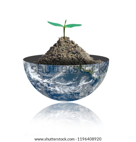A small tree on the half of planet  on a white background.Eco concept.,Elements of this image furnished by NASA.