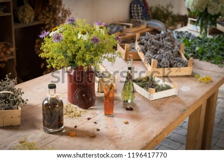 Rustic wooden table with various herbs and flowers in a bright room